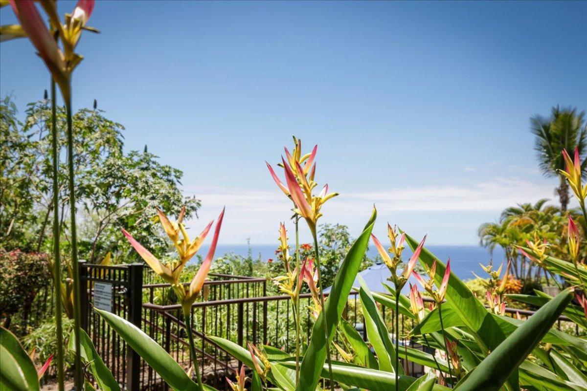 Villa Kona Westwind 1 New! Quiet Ocean-View 1St Floor | Patio | Pool à Kailua-Kona Extérieur photo