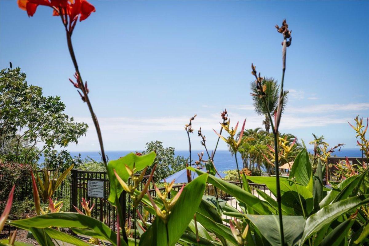 Villa Kona Westwind 1 New! Quiet Ocean-View 1St Floor | Patio | Pool à Kailua-Kona Extérieur photo